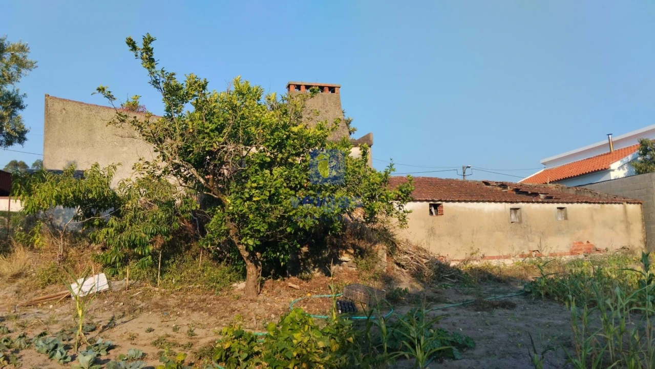 Moradia T3 para Venda em Santa Catarina Foto 29