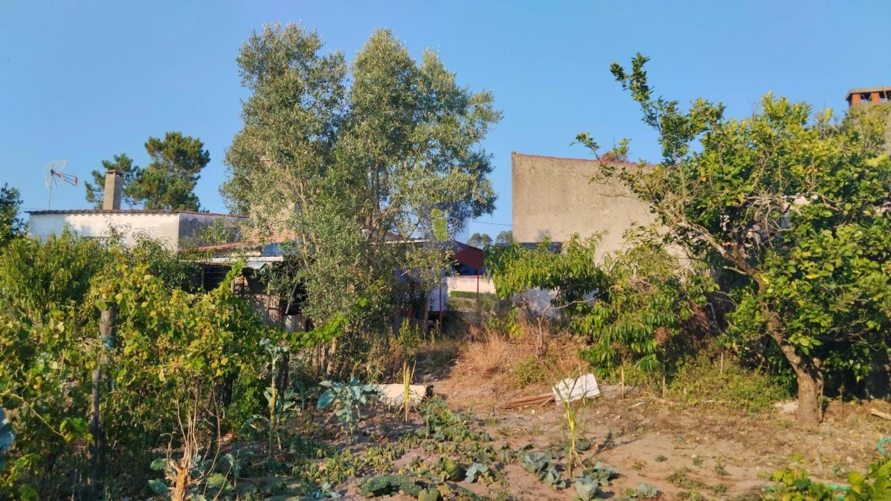 Moradia T3 para Venda em Santa Catarina Foto 28