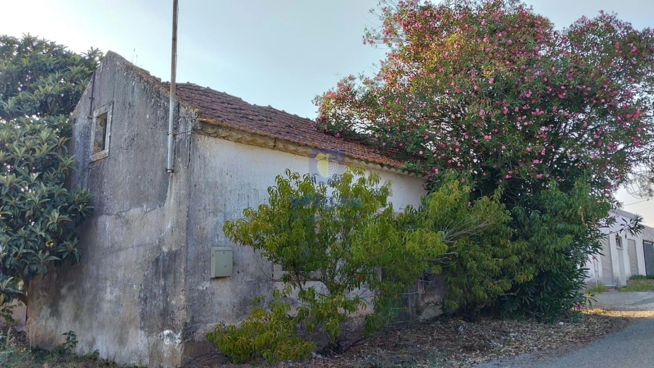 Moradia T3 para Venda em Santa Catarina Foto 2