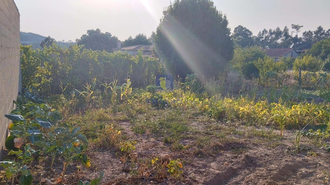 Moradia T3 para Venda em Santa Catarina Foto 31