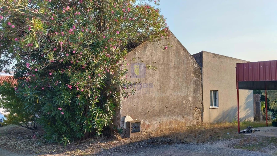 Moradia T3 para Venda em Santa Catarina Foto 3