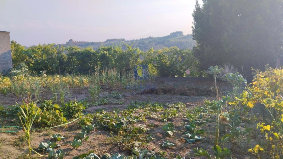 Moradia T3 para Venda em Santa Catarina Foto 33