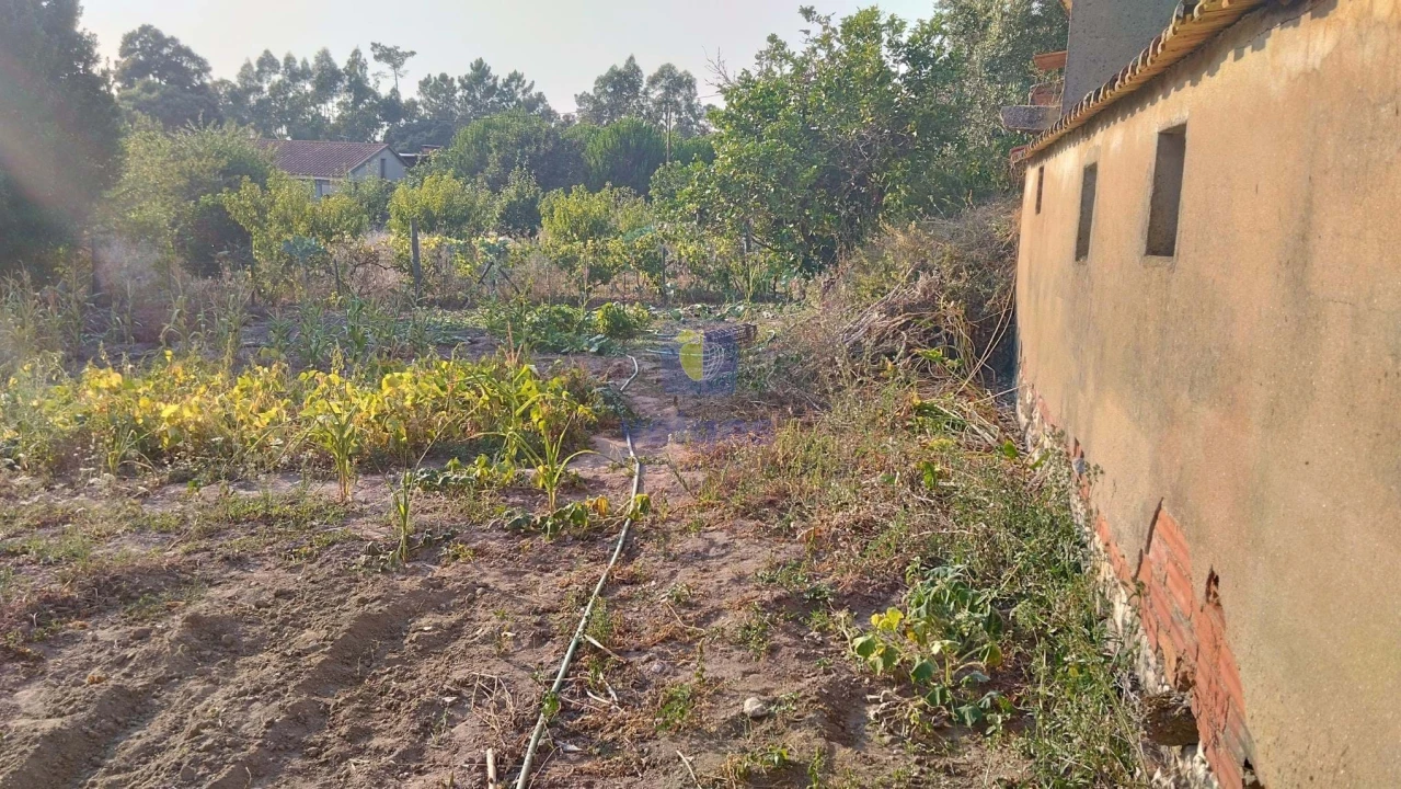 Moradia T3 para Venda em Santa Catarina Foto 32