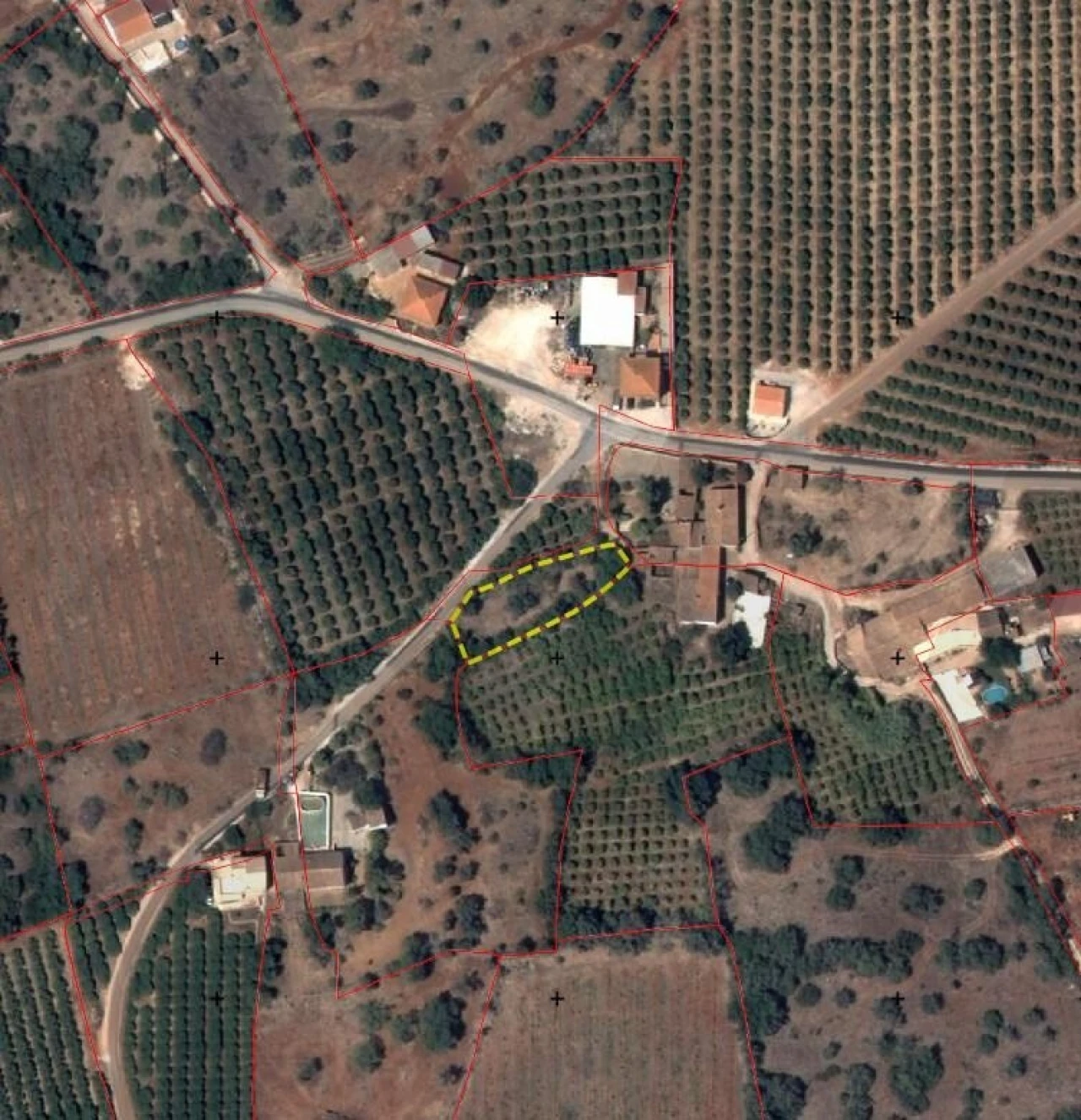 Terreno para Venda em Silves Foto 11