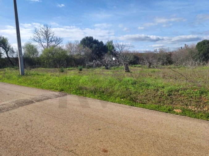 Terreno para Venda em São Bartolomeu de Messines Foto 1