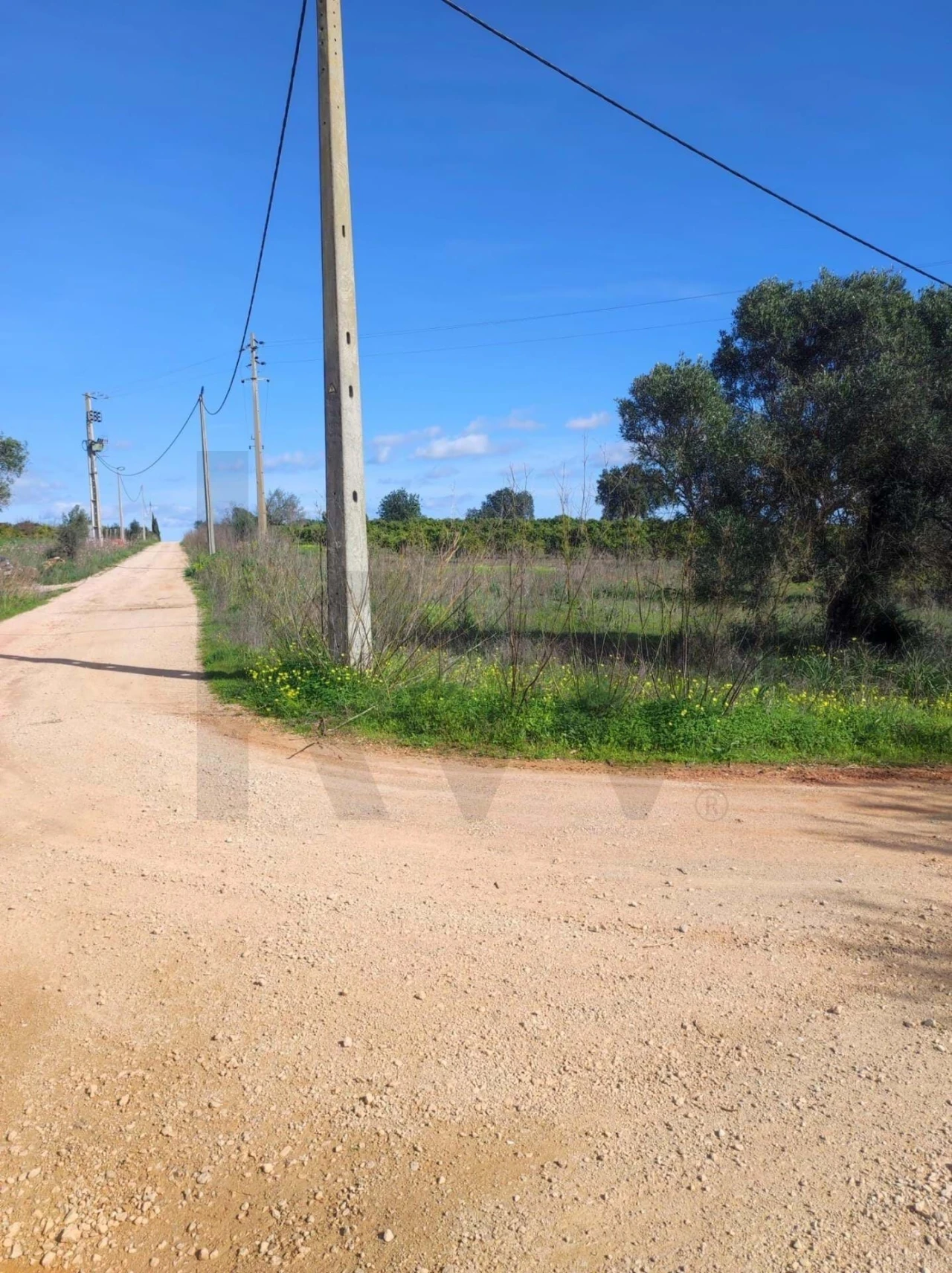 Terreno para Venda em São Bartolomeu de Messines Foto 4