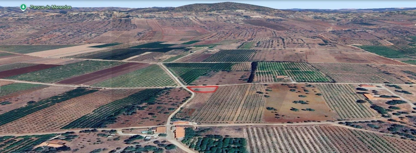 Terreno para Venda em São Bartolomeu de Messines Foto 11