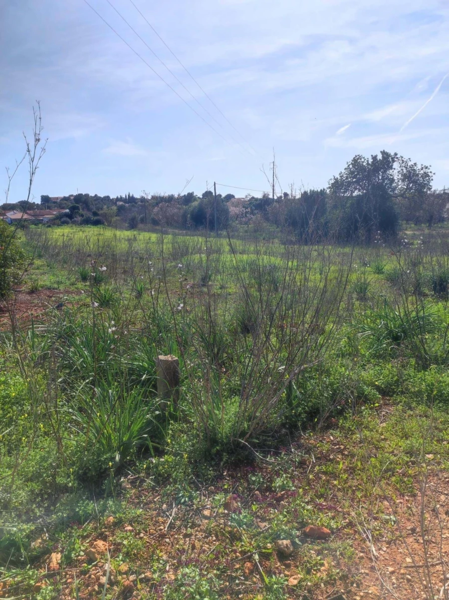 Terreno para Venda em São Bartolomeu de Messines Foto 7