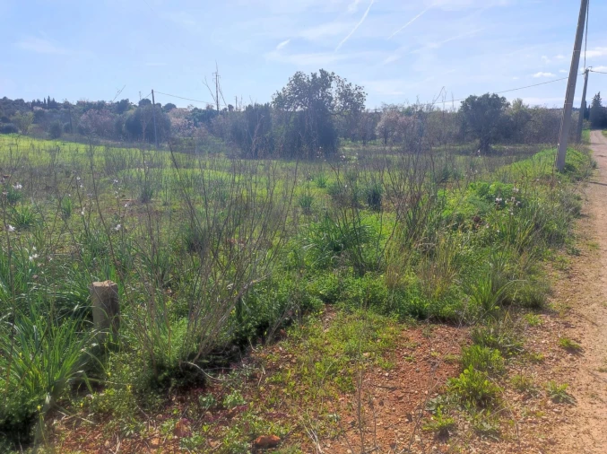 Terreno para Venda em São Bartolomeu de Messines Foto 8