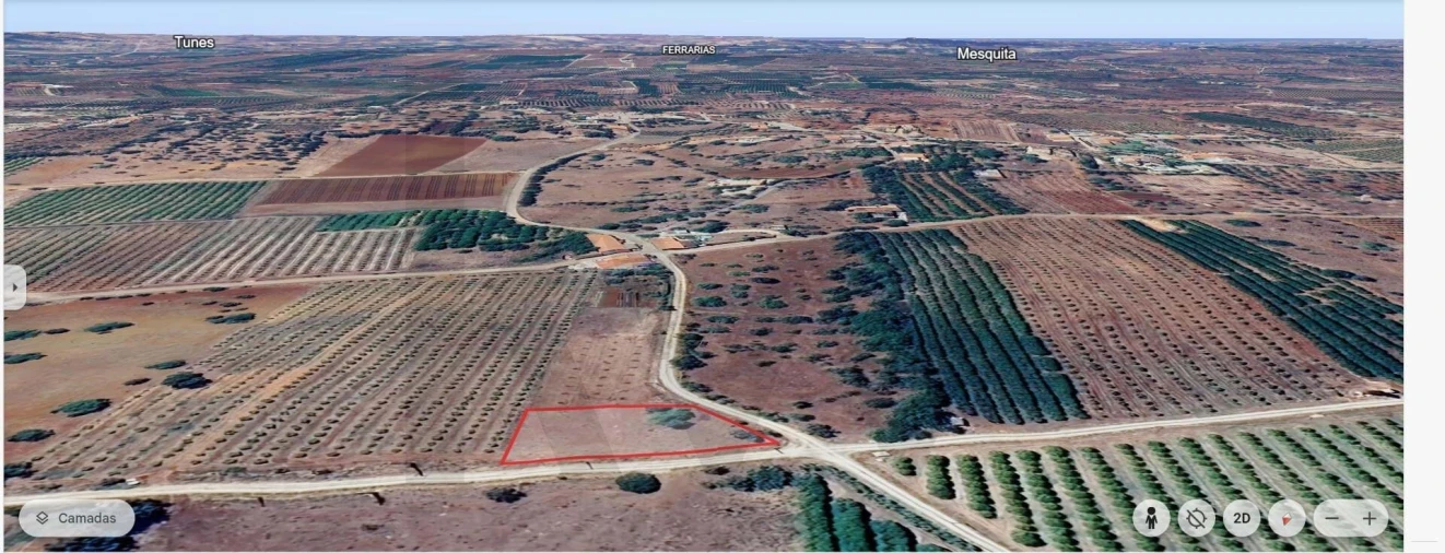 Terreno para Venda em São Bartolomeu de Messines Foto 14