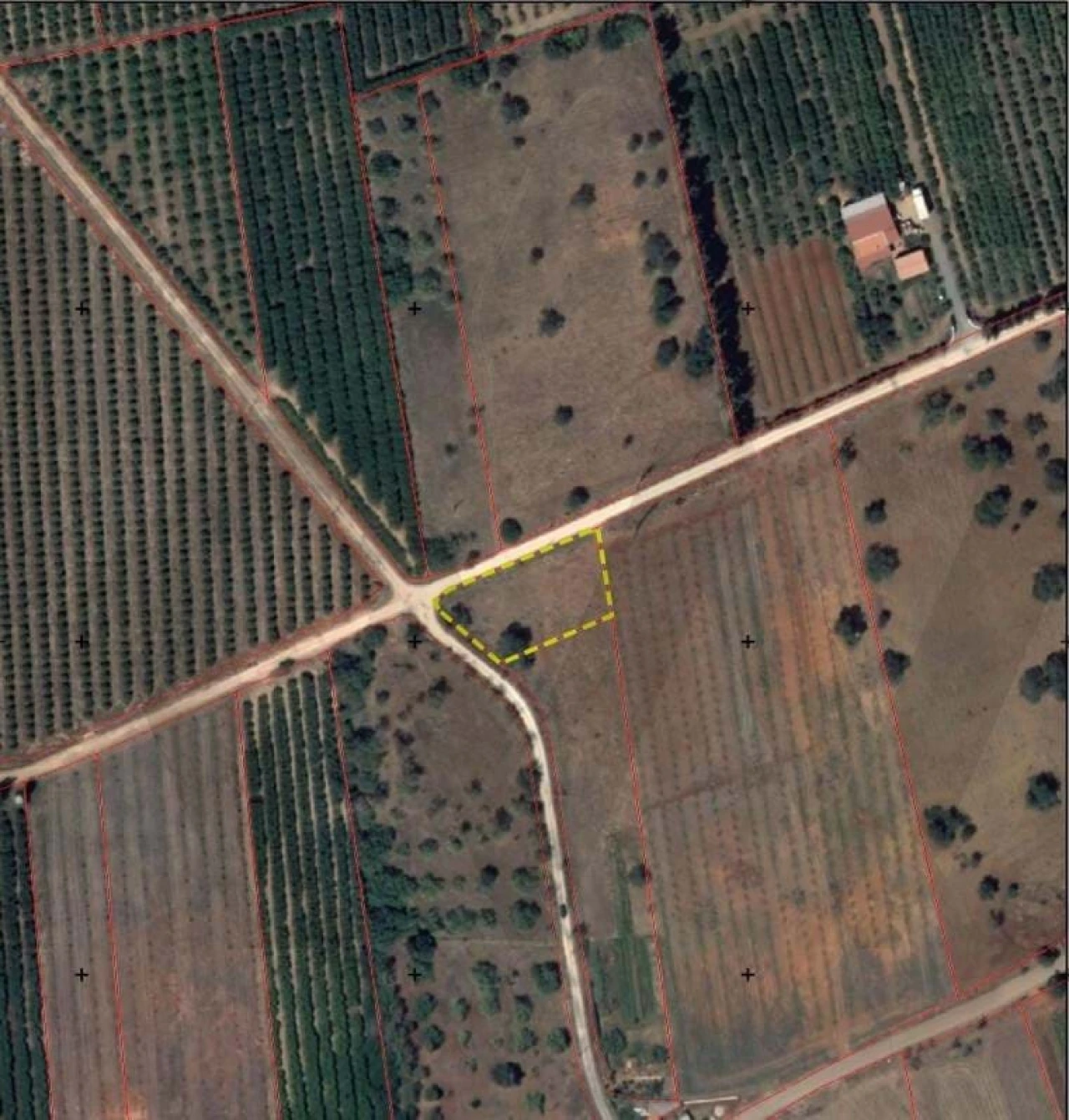 Terreno para Venda em São Bartolomeu de Messines Foto 15