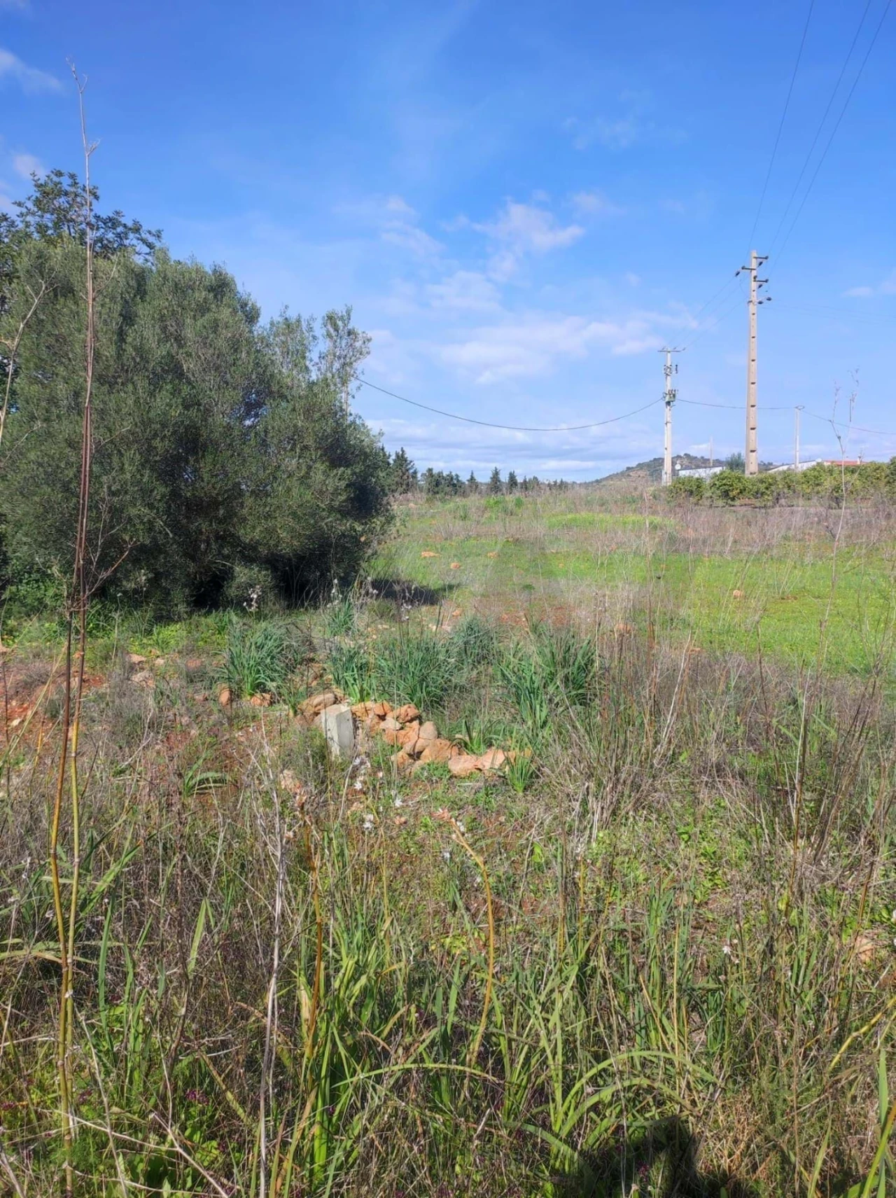 Terreno para Venda em São Bartolomeu de Messines Foto 2