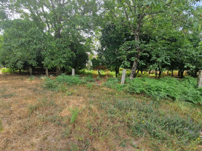 Moradia T4 para Venda em Barbeita Foto 19