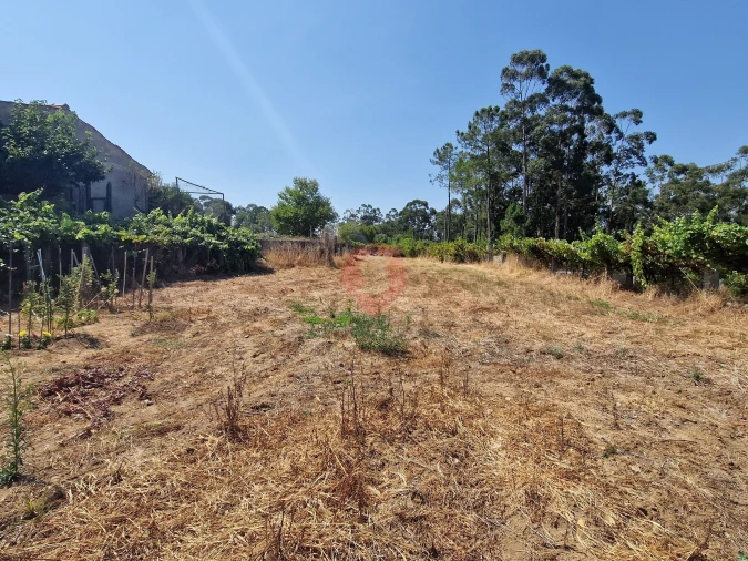 Terreno para Venda em Friestas Foto 4