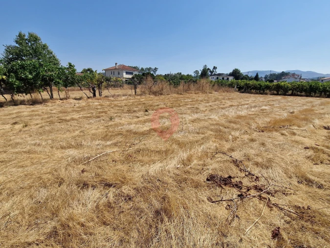 Terreno para Venda em Friestas Foto 5