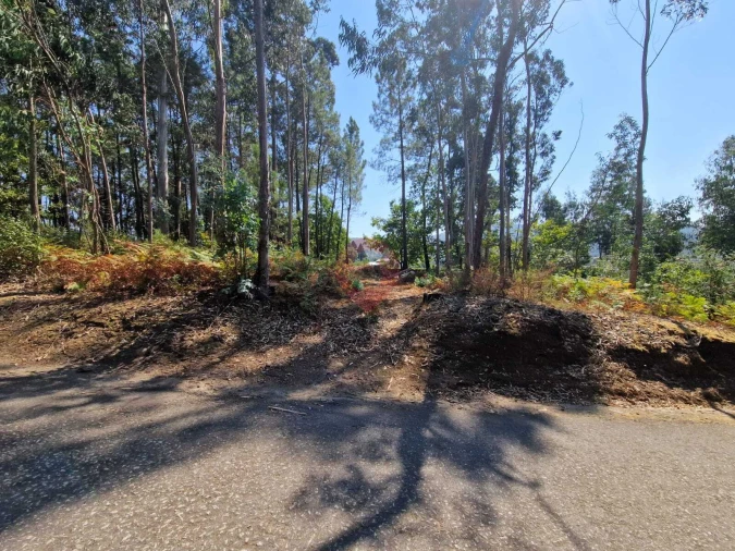 Terreno para Venda em Friestas Foto 1