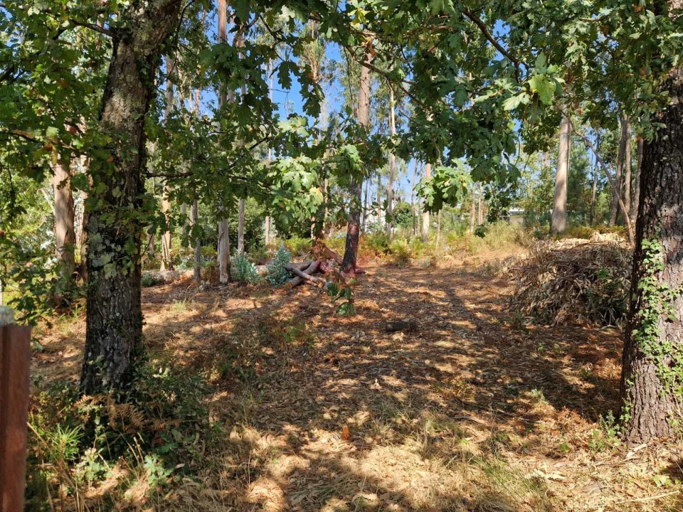 Terreno para Venda em Friestas Foto 3