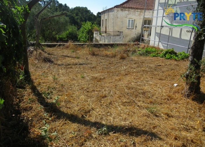 Moradia T3 para Venda em Cernache do Bonjardim, Nesperal e Palhais Foto 7