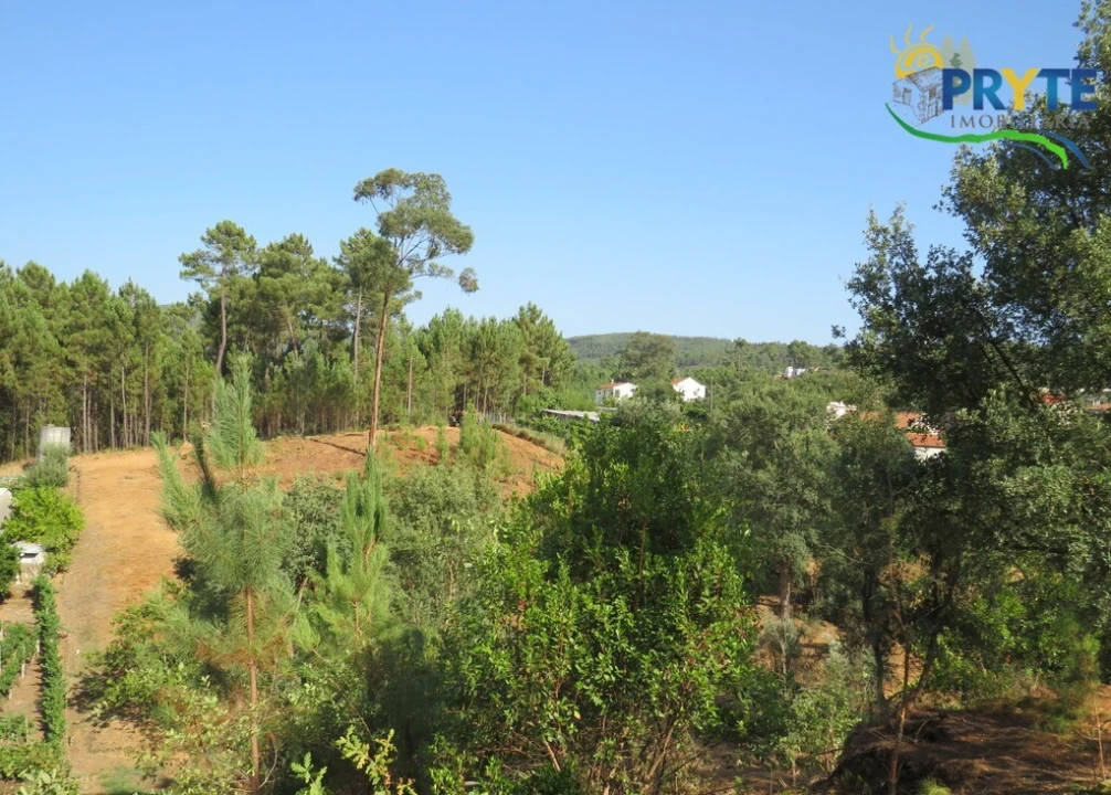 Moradia T3 para Venda em Sertã Foto 3