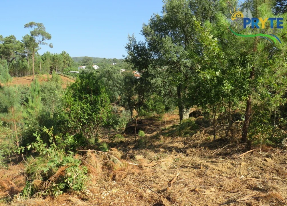 Moradia T3 para Venda em Sertã Foto 5