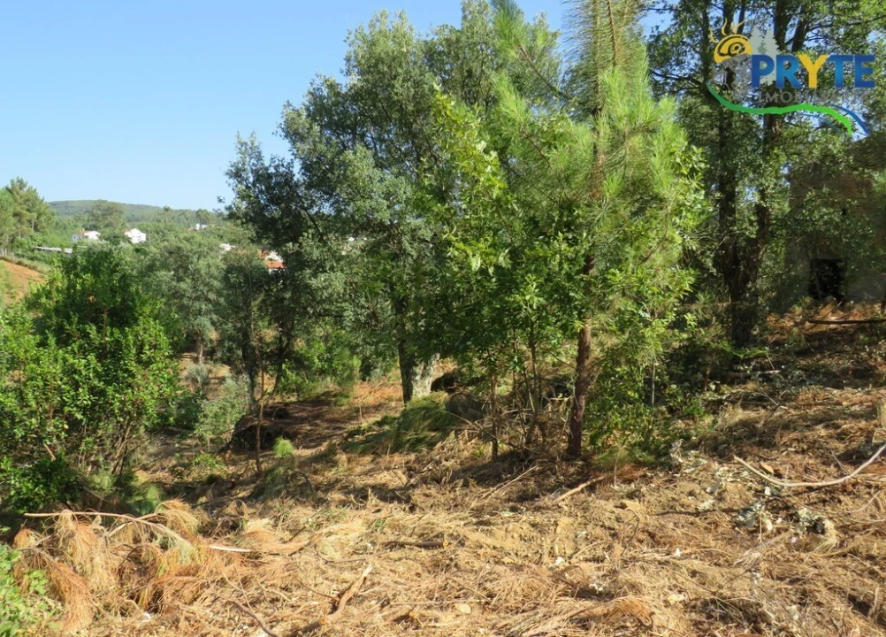 Moradia T3 para Venda em Sertã Foto 6