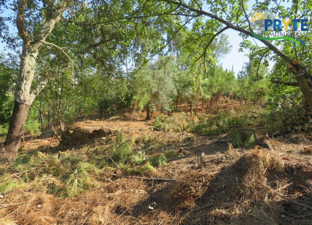 Moradia T3 para Venda em Sertã Foto 15