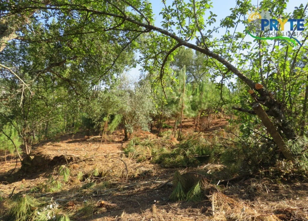 Moradia T3 para Venda em Sertã Foto 19