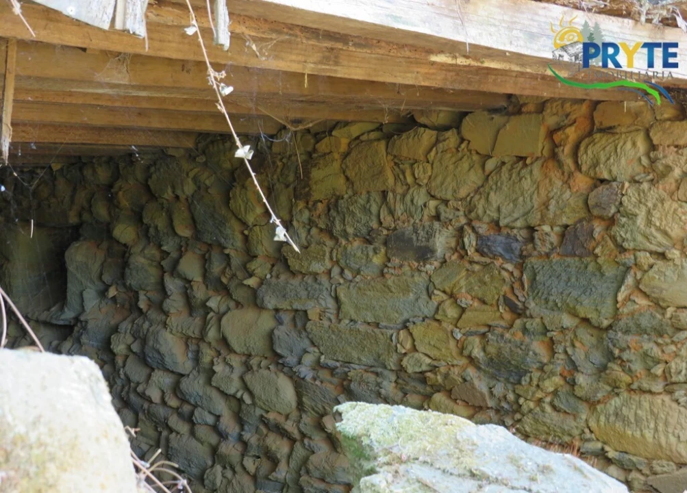 Moradia T3 para Venda em Sertã Foto 22