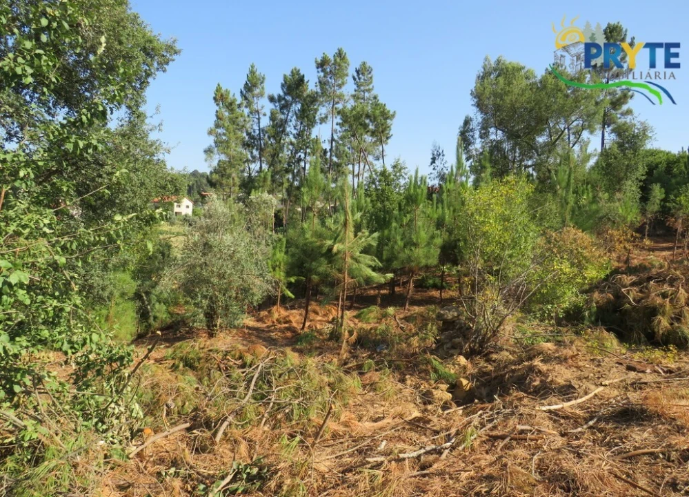 Moradia T3 para Venda em Sertã Foto 24