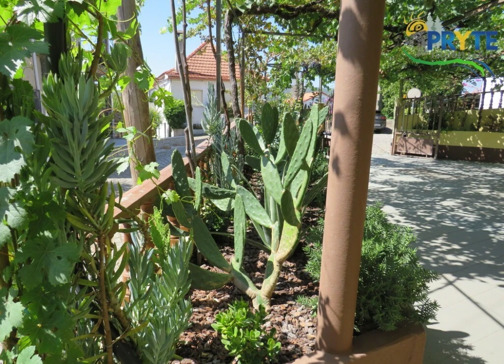 Moradia T3 para Venda em Sertã Foto 82