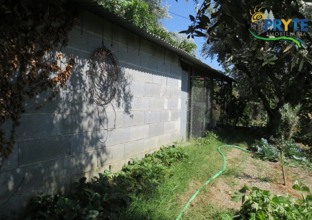 Moradia T3 para Venda em Sertã Foto 98