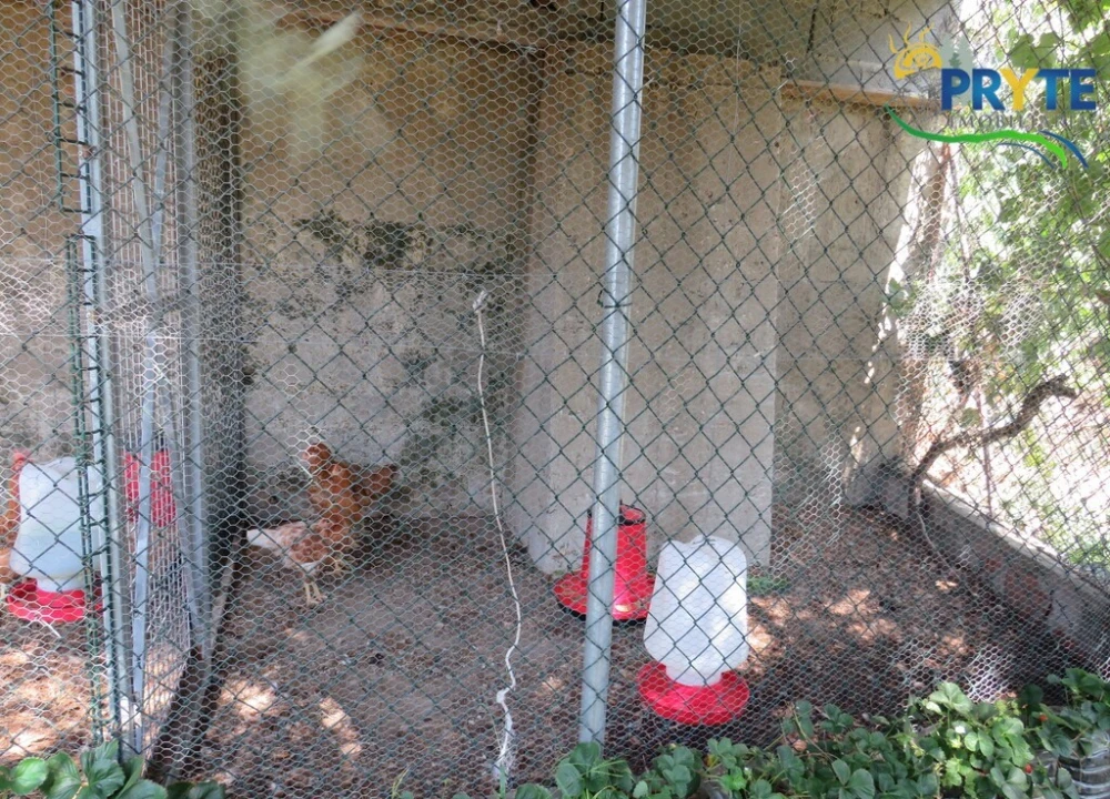 Moradia T3 para Venda em Sertã Foto 99