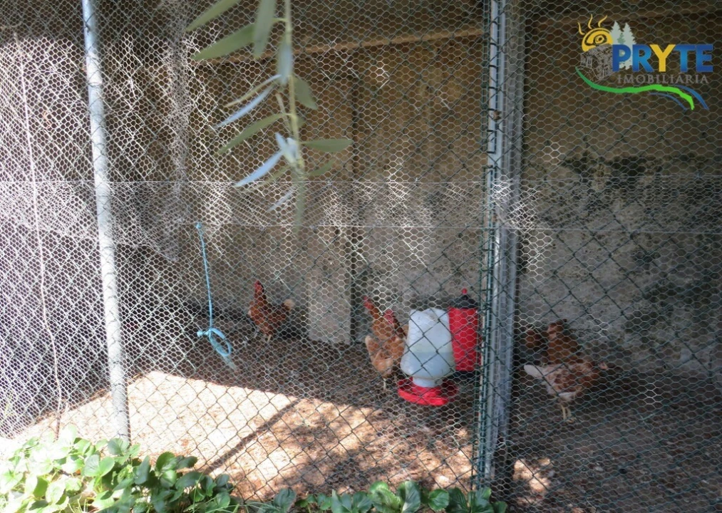 Moradia T3 para Venda em Sertã Foto 100