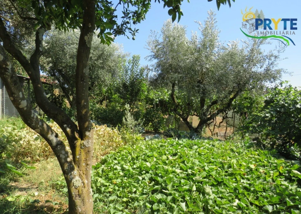 Moradia T3 para Venda em Sertã Foto 102