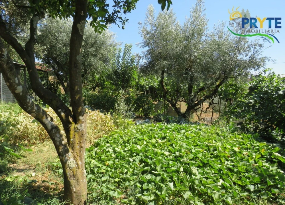 Moradia T3 para Venda em Sertã Foto 103