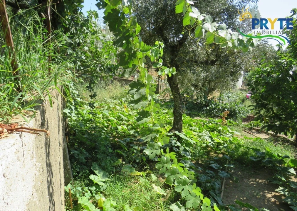 Moradia T3 para Venda em Sertã Foto 104