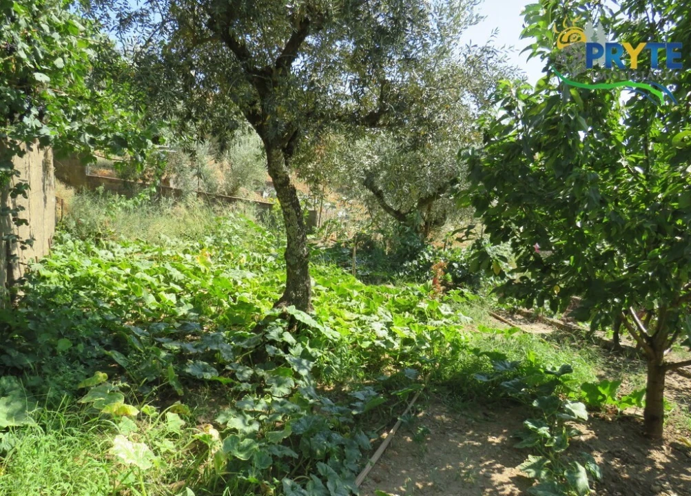 Moradia T3 para Venda em Sertã Foto 105