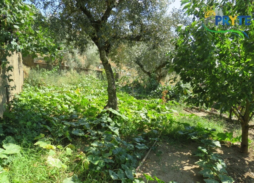 Moradia T3 para Venda em Sertã Foto 106