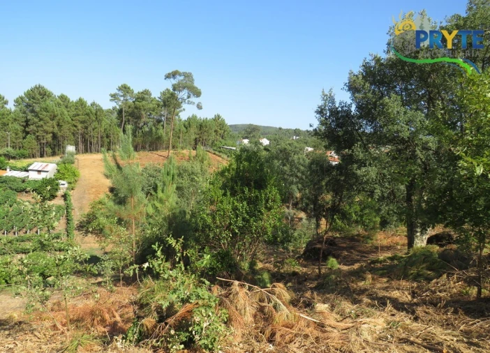 Moradia T3 para Venda em Sertã Foto 2