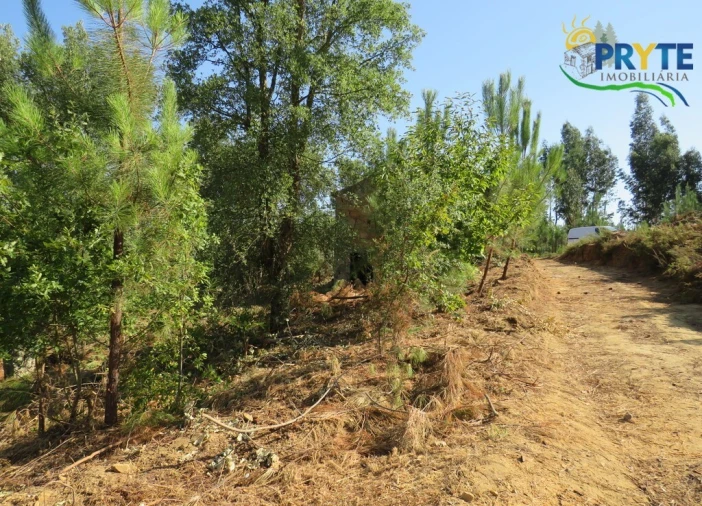 Moradia T3 para Venda em Sertã Foto 8