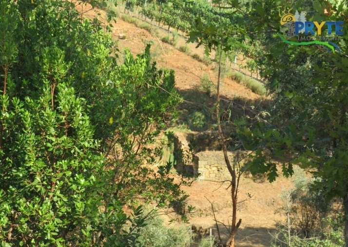 Moradia T3 para Venda em Sertã Foto 9