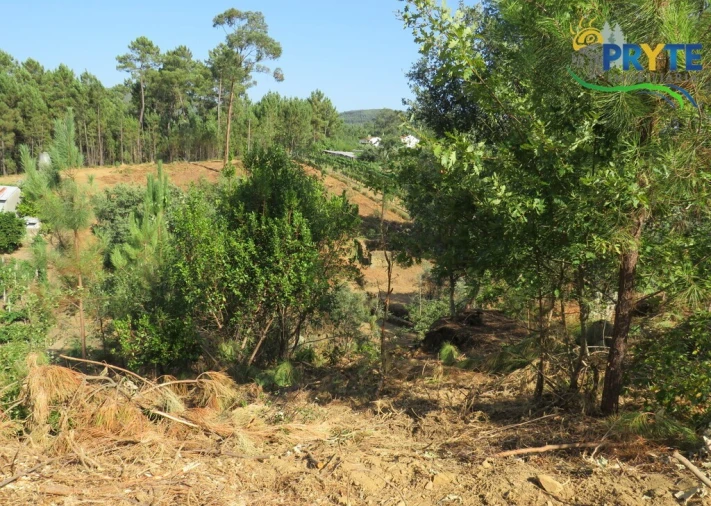 Moradia T3 para Venda em Sertã Foto 10