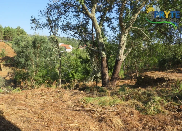 Moradia T3 para Venda em Sertã Foto 16