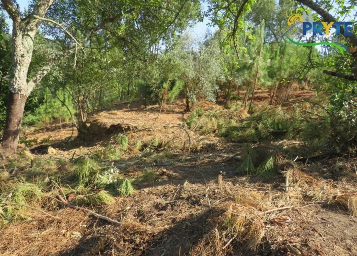 Moradia T3 para Venda em Sertã Foto 18