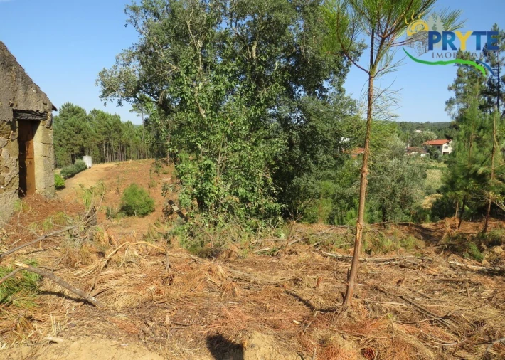 Moradia T3 para Venda em Sertã Foto 25