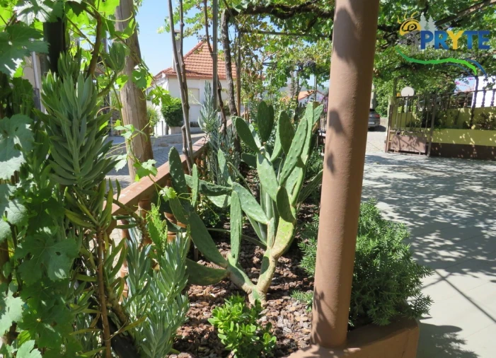 Moradia T3 para Venda em Sertã Foto 82