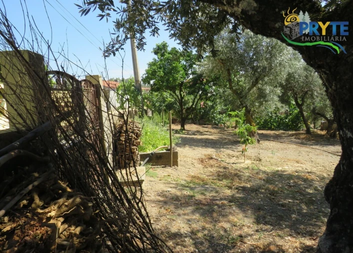 Moradia T3 para Venda em Sertã Foto 92