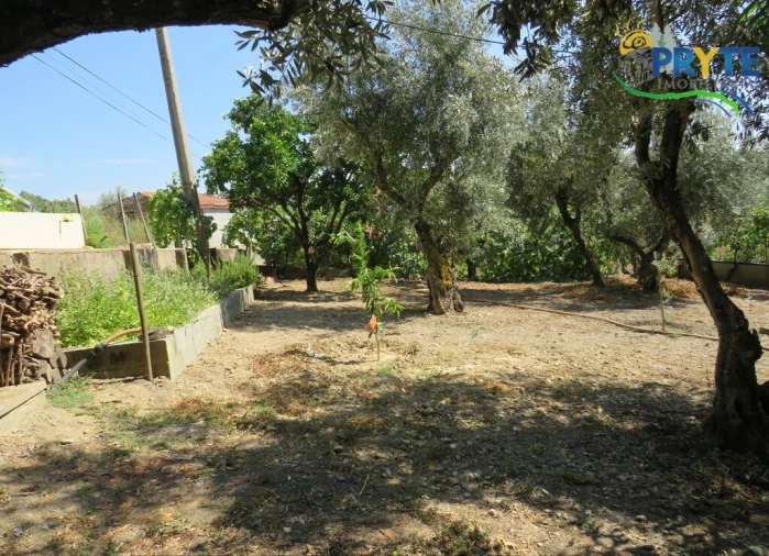 Moradia T3 para Venda em Sertã Foto 93