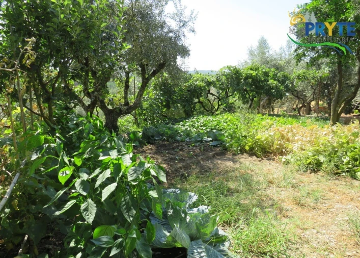 Moradia T3 para Venda em Sertã Foto 101