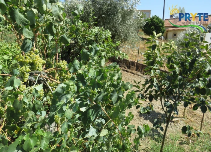 Moradia T3 para Venda em Sertã Foto 107